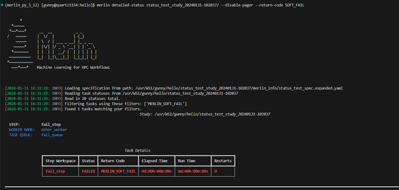 The output of detailed-status with the return code filter