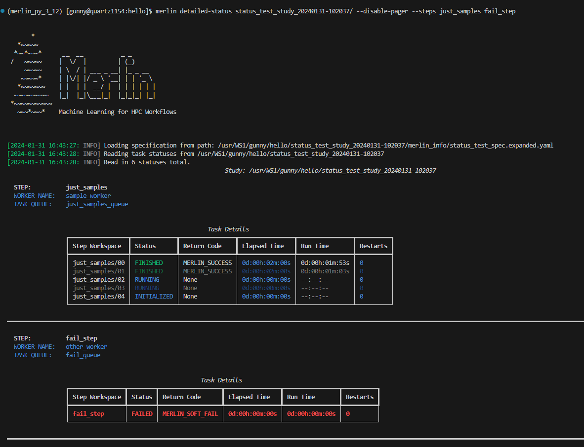 The output of detailed-status with the steps filter